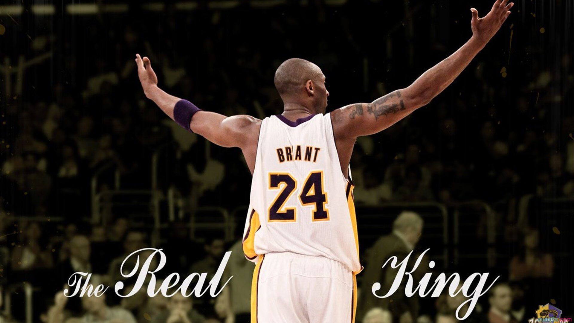 《Dota2》“天命之战”——超级战队争夺“荣耀”!