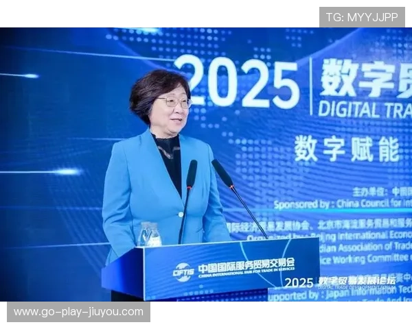 数字丝路再深化，数贸会引领多国共建，数字贸易中国方案解读